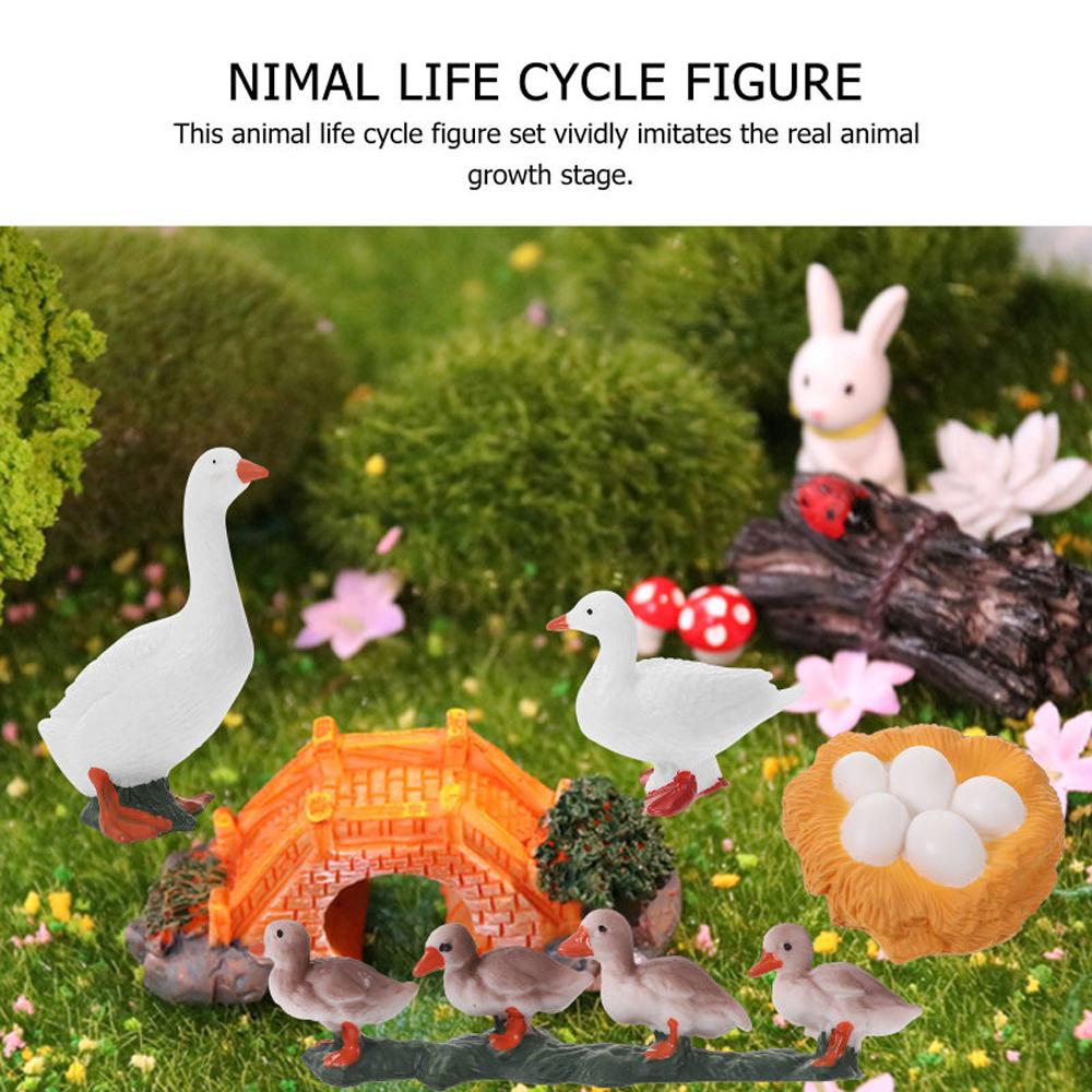 Growth Cycle Miniature Cycle Duck Figurine White Goose Growth Cycle Simulation Life Cycle Figures