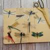 30pcs Insect Theme Dragonflies In Summer Style PVC Sticker Scrapbooking DIY Gift Packing Label Decoration Tag