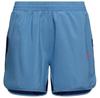 Шорты La Sportiva Sudden Shorts Синий