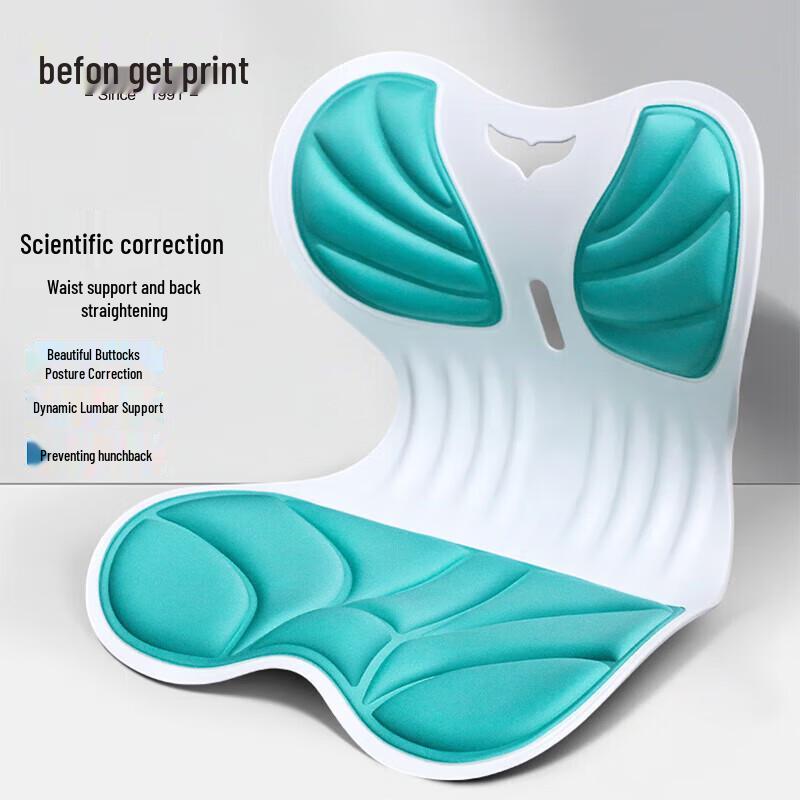 Befon Ergonomic Posture Corrector Lumbar Support Cushion