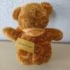 [USED] Etro Teddy Bear Plush Toy