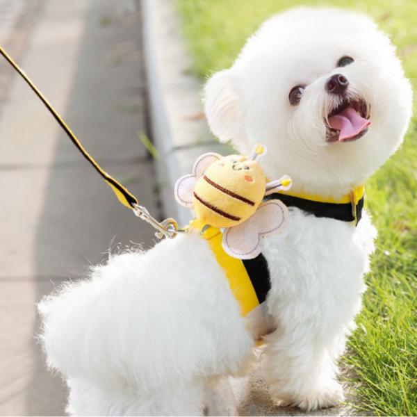 Katzen Geschirr Hund M Leine Kleidung Set, Gelb