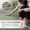 Ikehiko Rush Rug Water Plaid HS Odor 190 x 300 cm Carpet, Repellent, Anti-Slip, Non-woven Fabric, Pattern, Raster, Casual, Antibacterial, Resistant,