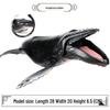 Marine Animal Simulation Model Figures: Shark, Dolphin, Hammerhead, Crab, Squid, Starfish for Kids' Education