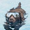 Pet Glasses Dog Supplies Goggles Waterproof Wind Proof Sun Proof UV Proof Big Dog Glasses LS
