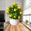 A 12-mesh Artificial Lemon Potted Green Plant With A Pot, Artificial Flower, Artificial Plant, Lemon, Lemon .