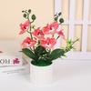 27cm Butterfly Orchid Bonsai Artificial Simulation Flower Plant Dining Table Home Room Office Vase Accessory Wedding Decoration