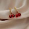 Ladies' Fashionable And Versatile Earrings With Temperament