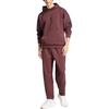 adidas Future Icons Sportswear Striped Hooded Pullover Long Sleeve Sweatshirt Men Sweatshirt Aurora-Red Ruby JD4857