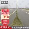Outdoor Heavy-Duty Hard Bristle Brooms