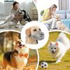 Adjustable Strap Mesh Dog Muzzle Breathable Pet Mouth Mask Comfortable Dog Mouth Cover  Family Use