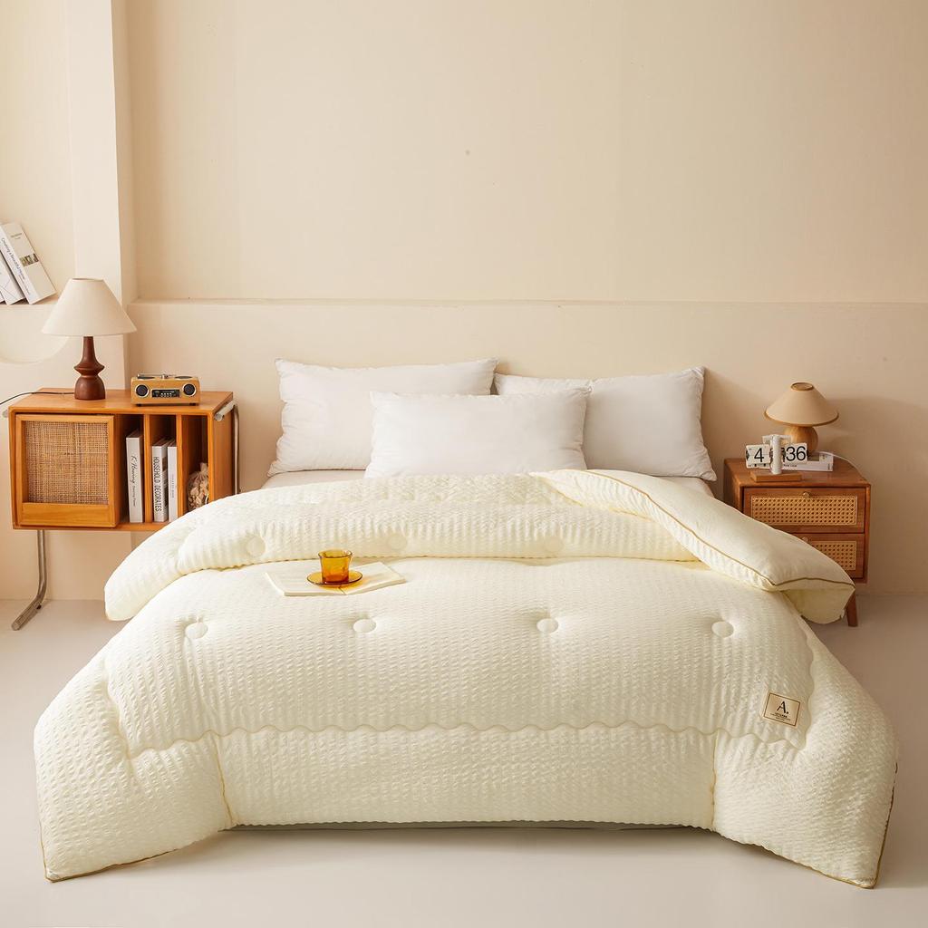Class A Antibacterial Soybean Fiber All-Season Quilt: Cool Summer Duvet-Insert & Cozy Winter Quilt for Student Dorms