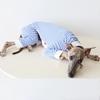 Wellington 4 Jambes Hiver Automne Vêtements pour Animaux de Compagnie Lévrier Chose Pulls pour Chiens Sweat-shirts Coton Doux Vêtements d'Intérieur Pyjamas