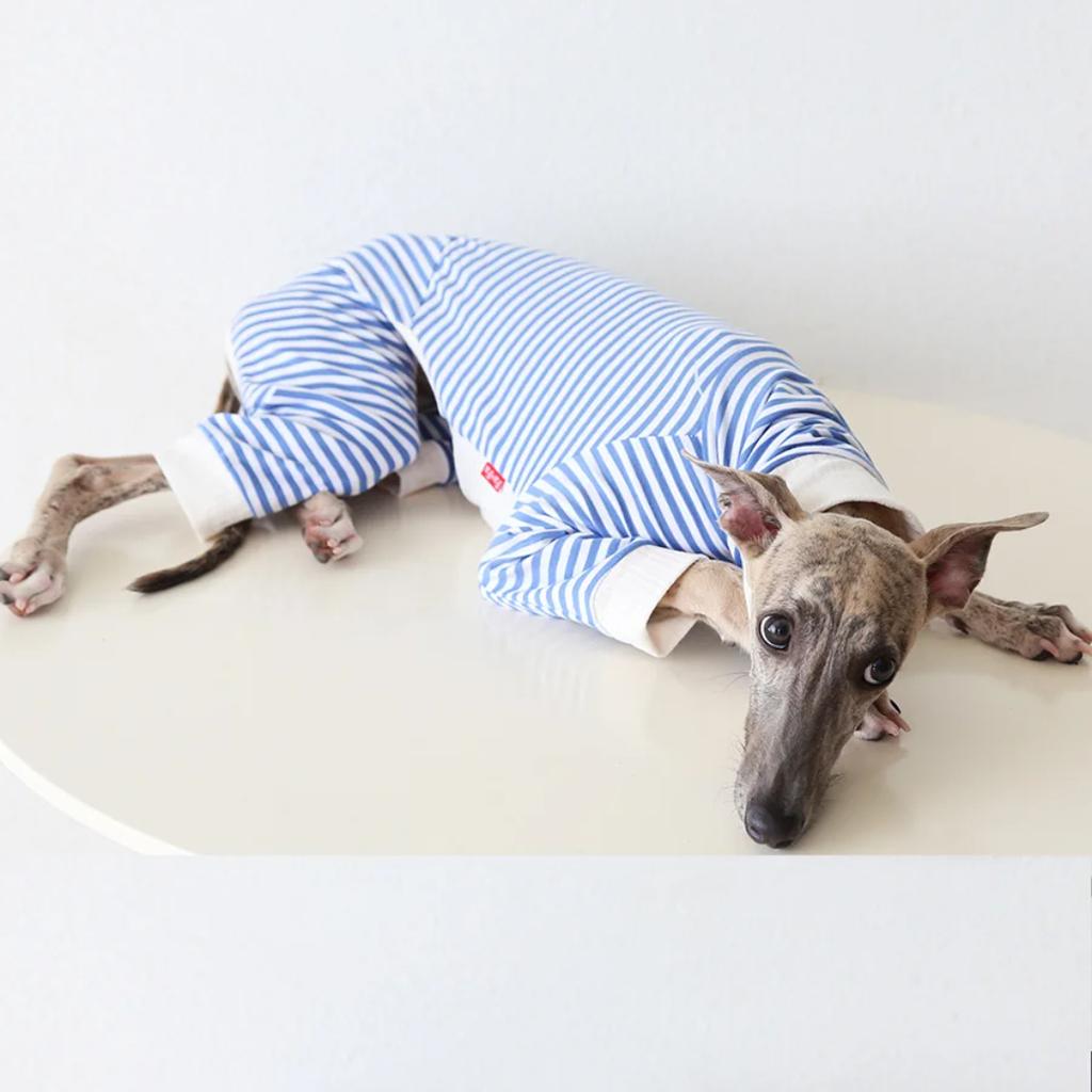 Wellington 4 Jambes Hiver Automne Vêtements pour Animaux de Compagnie Lévrier Chose Pulls pour Chiens Sweat-shirts Coton Doux Vêtements d'Intérieur Pyjamas