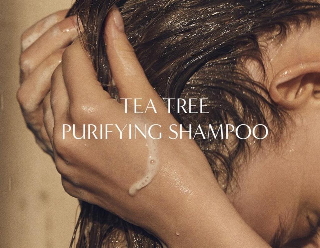 AROMATICA Tea Tree Purifying Shampoo Refreshing Scalp Care 400ml