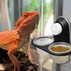 Gecko Futter Napf Gecko Futterbecher Spender mit 4 Bechern Leisten Zubehör Schale Effiziente Fütterung Eidechsen Chamäleons Einsiedlerkrebs