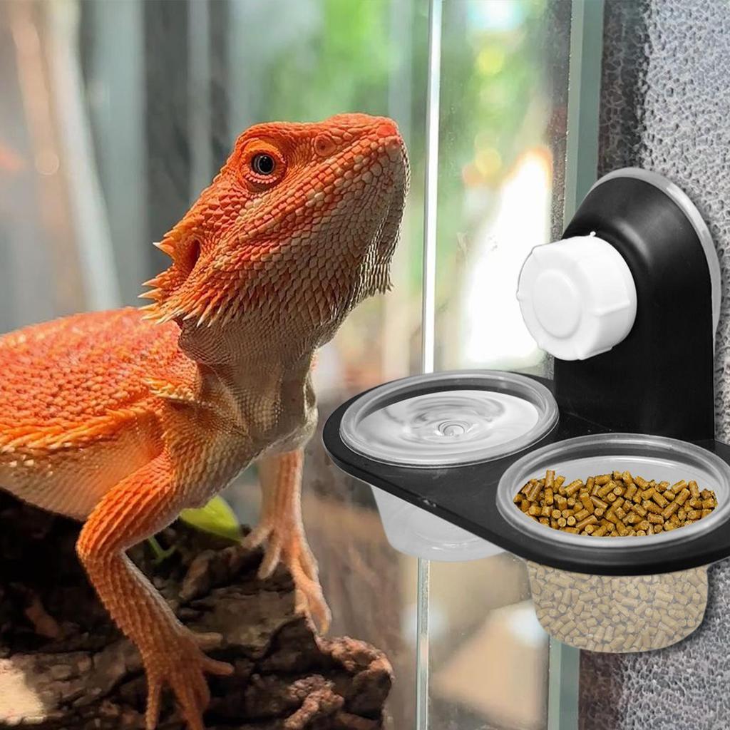 Gecko Futter Napf Gecko Futterbecher Spender mit 4 Bechern Leisten Zubehör Schale Effiziente Fütterung Eidechsen Chamäleons Einsiedlerkrebs