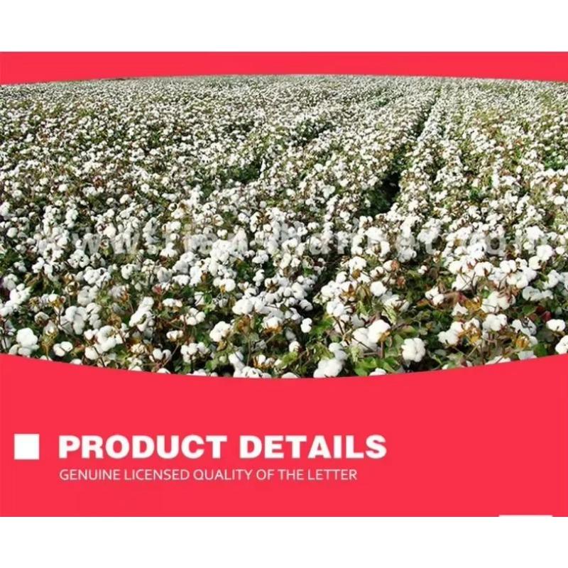 60 ks/krabičky Jednorázové oboustranné vatové tyčinky Tyčinky na čištění uší Čištění Zdravotní péče Čištění Make-upové nástroje Krása Make-up