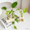 Dekoracje domowe – Wazony