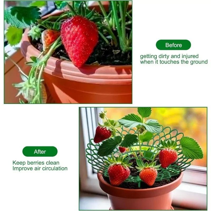 20 szt. Stojak na truskawki z 3 solidnymi nogami - Stelaż wspierający rośliny do uprawy, Idealny do utrzymywania truskawek ogrodowych w czystości