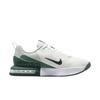 Nike Buty męskie Air Max Alpha Trainer 6 Summit White/Light Silver/Seaweed/Seaweed FQ1833-108