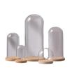 Preserved Flower Glass Dome Display Case with Dust Cover - Transparent Desktop Ornament.