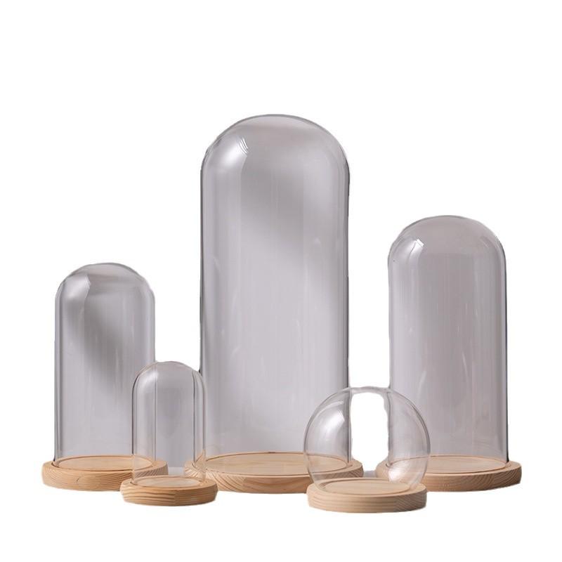 Preserved Flower Glass Dome Display Case with Dust Cover - Transparent Desktop Ornament.