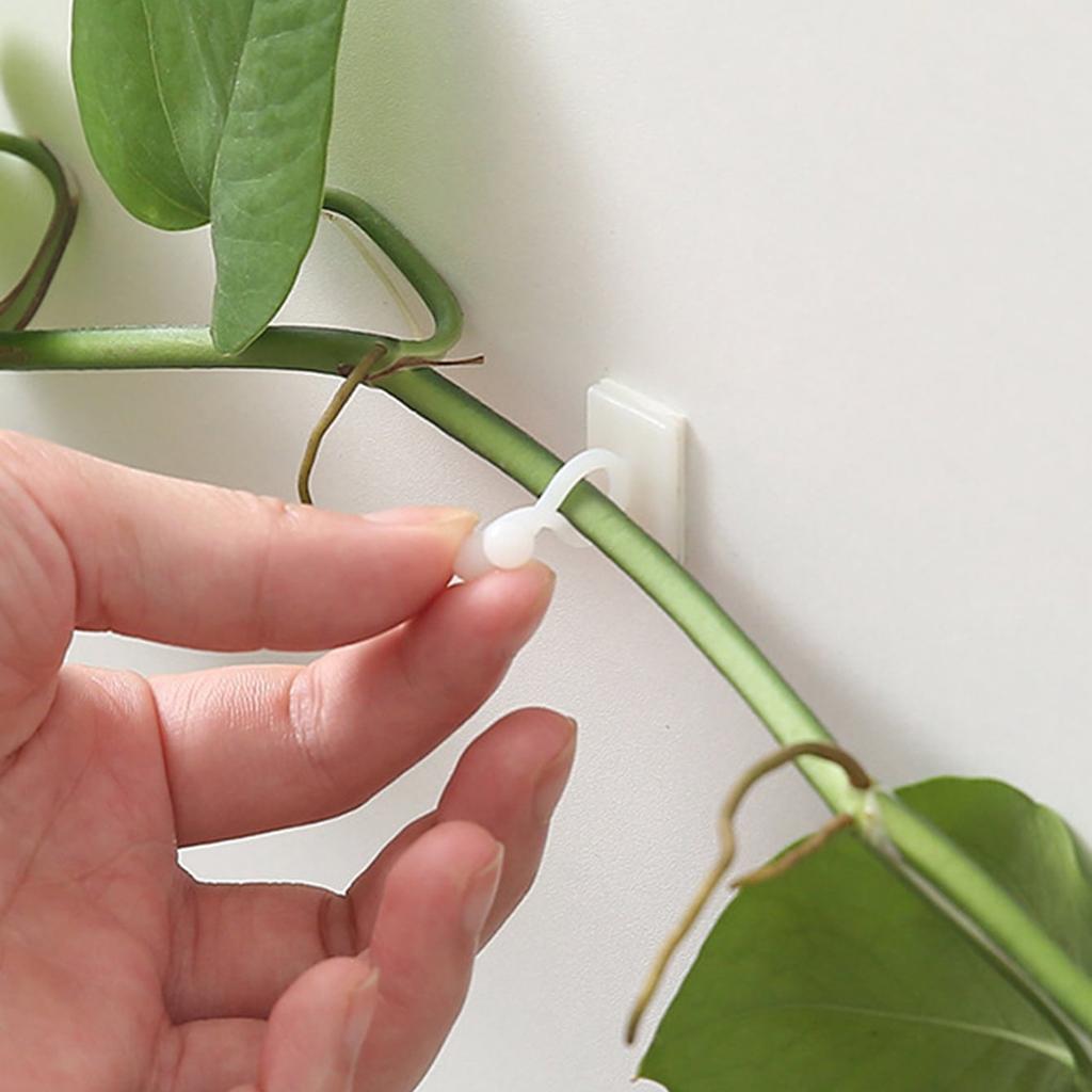 Garden Trellis Plant Iron Climbing Plant Support With Black Rust Proof Coating For Indoor Flower Vine Trellis For Decoration