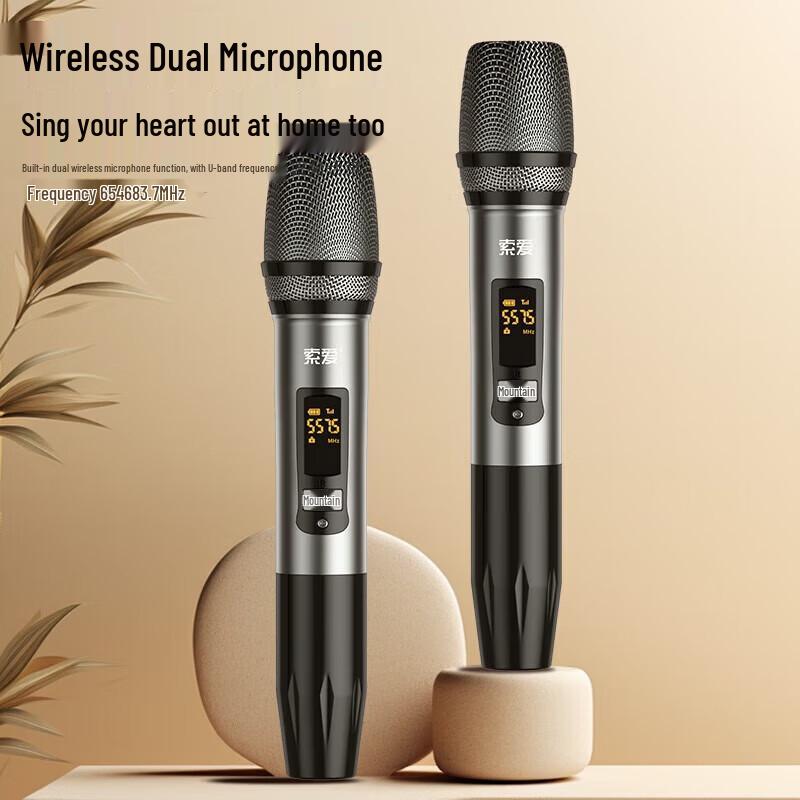 Soaiy SA-X15 Home KTV Karaoke System with Dual Microphones