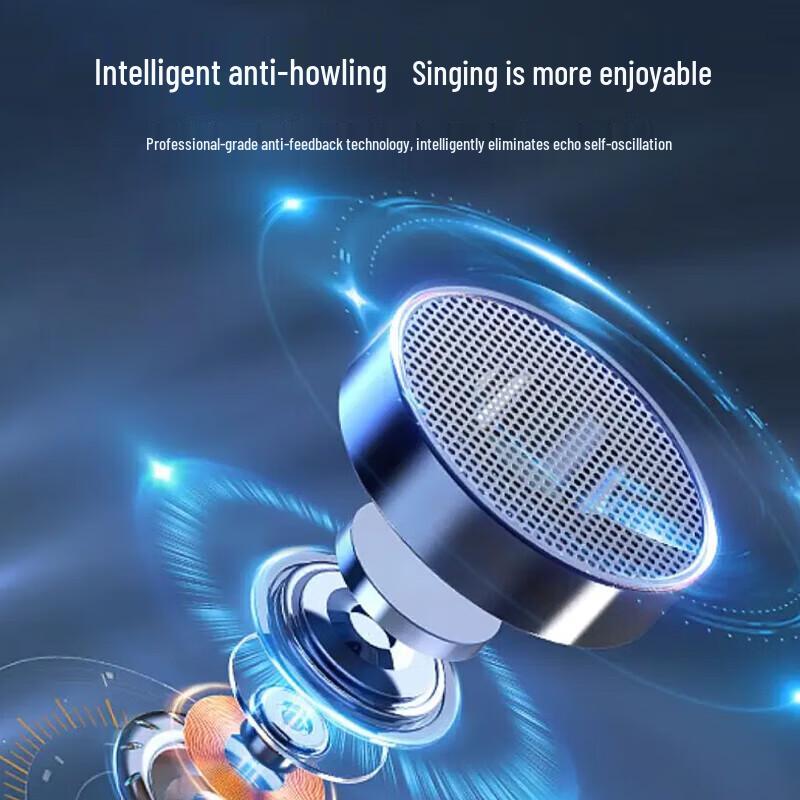 Edifier TU52 Wireless Portable Karaoke Microphone with Receiver