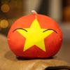 Polandball National Ball Peripheral China Soviet Union Dumpling Pillow Anime Peripheral Figurine Doll Secondary Element Cute