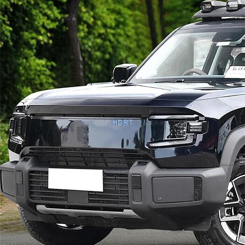 Car Style ect Screen Anti Bug Proof Net Trim For Changan Deepal G318 2024 + Front Water Tank Cover Racing Grille Accessories