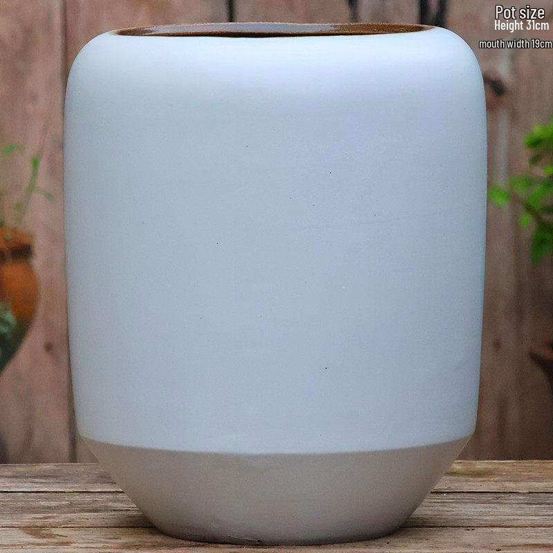 Large Coarse Ceramic Succulent Pot: Tall, Breathable, for Bougainvillea & Birds of Paradise