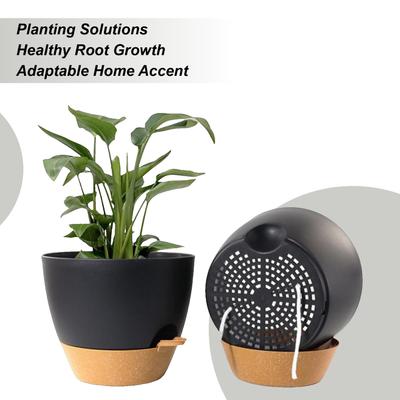 Decoración para el hogar
– Macetas decorativas