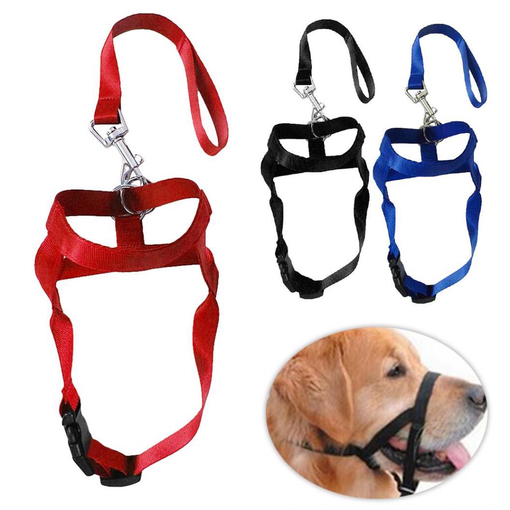 mouth leash