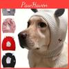Roupa e sapatos – Chapéus para cães