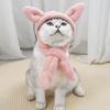 Plush Pet Hat for Ear and Head Protections Halloween Funny Ear Dog Hat for Small Dogs Cats Warm Winter Headgear Hat