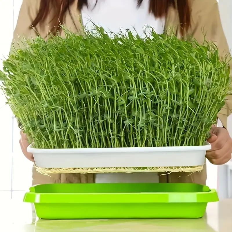 New Home Seed Germination Tray Seedling Planting Pot Wheatgrass Cultivation Soilless Tray for Gardening And Agriculture