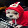 Ropa y calzado – Sudaderas para perros