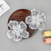 Handmade Beads Double-Layer Three-Dimensional White Flower Cloth Sticker Clothing Accessories Dress Hair Accessories Bag Decoration