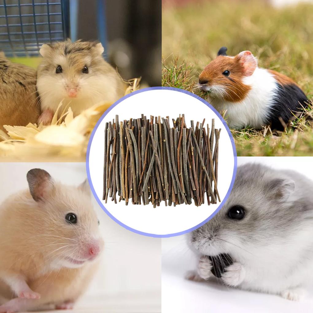 Small Pet Portable Teething Wood Assortment Rodent Teether Log Stick Teeth Grinding Tool Toys Home Decoration Pets Supplies