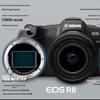 Canon EOS R8 Full-Frame Mirrorless Camera (CN version)