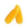 2Pcs Realistic Artificial Corn Simulation Corn Cobs for Home Decoration Basket Display Photography Kitchen Vegetable Toy