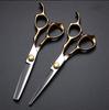 6-Inch Professional Hairdressing Scissors & Thinning Shears Set
