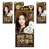 Lien Black Hair Secret Instant Foam Easy Gray Hair Dye Dark Brown 4 Pcs