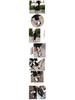 2018 Summer Korean Chunky Heel One-Strap High Heel Sandals for Women, 5cm-7cm