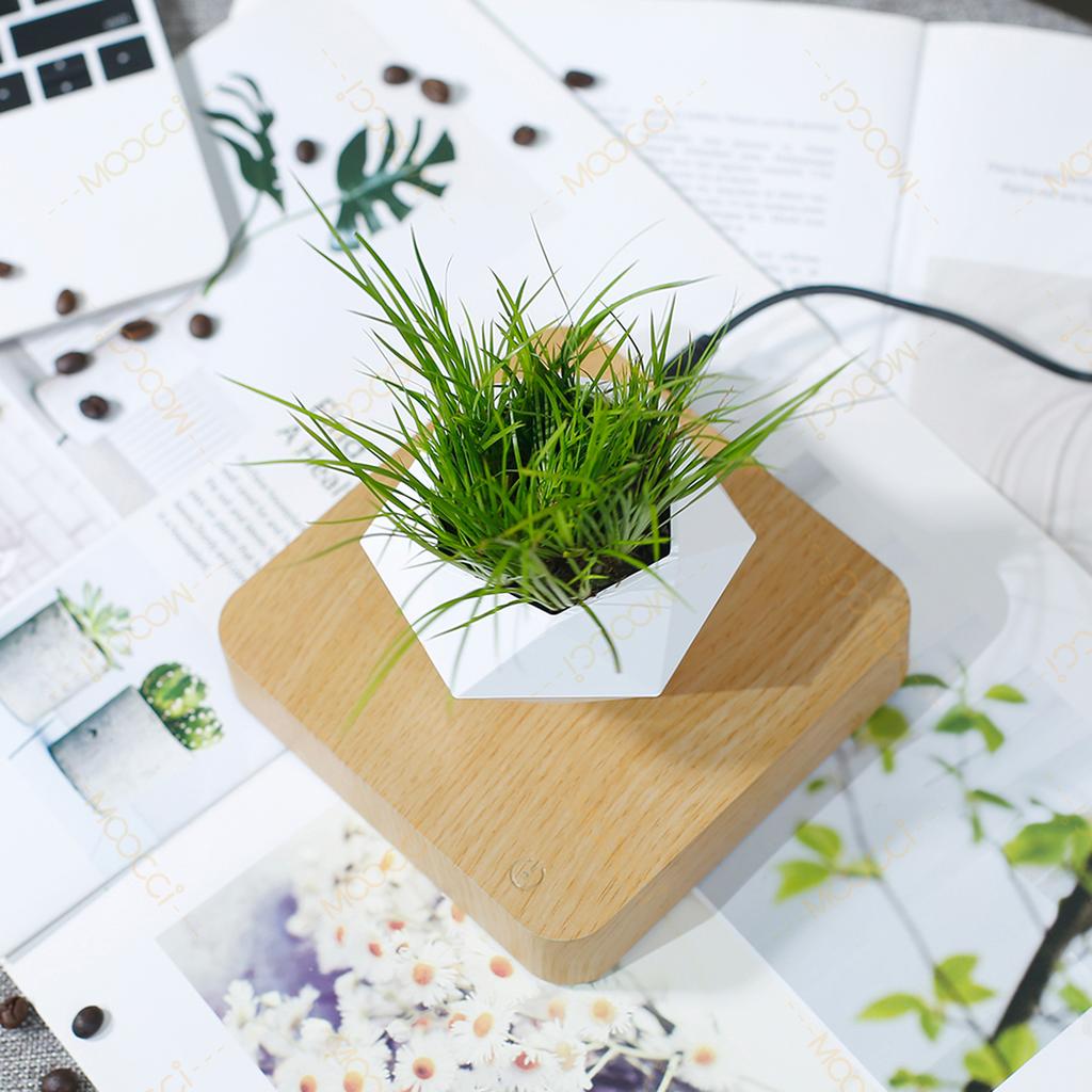 High-Class Commercial Creative Artificial Magnetic Levitation Bonsai Floating Indoor Home Office Decoration Air Plant Pot