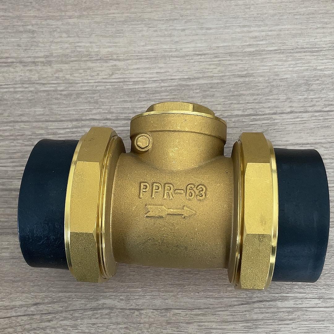 

Горизонтальний латунний зворотний клапан PPR для гарячого розплавлення, запобігання зворотному потоку та зворотного руху - Доступний у розмірах 4 точок, 6 точок та 1 дюйм.