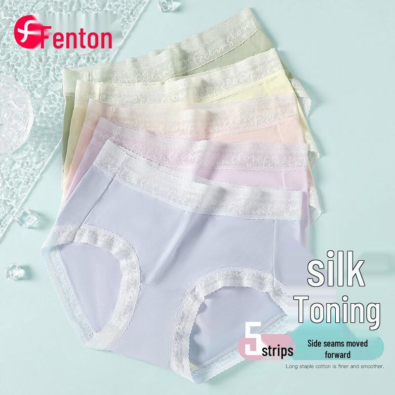 Fenteng Women s Silk Blend Lace Trim Panties 5-Pack 2XL