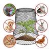 Plant Cage Garden Cloches Corrosion Resistant Plant Covers for Outdoor Mesh Cages Reusable Easy Installation High-quality Plant